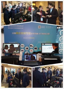 上海互聯(lián)網(wǎng)軟件集團(tuán) 高端協(xié)同管理軟件與信息技術(shù)咨詢服務(wù)的領(lǐng)軍者